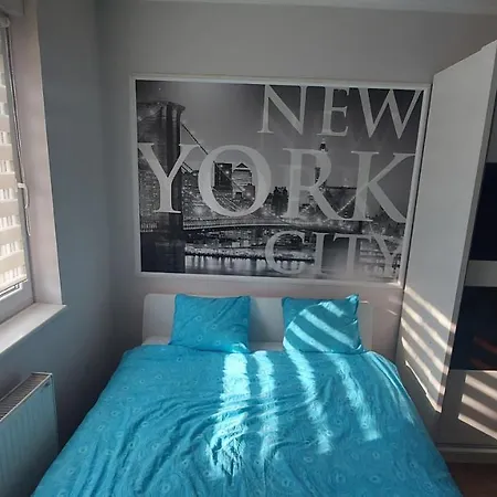 New York S7 Novi Sad